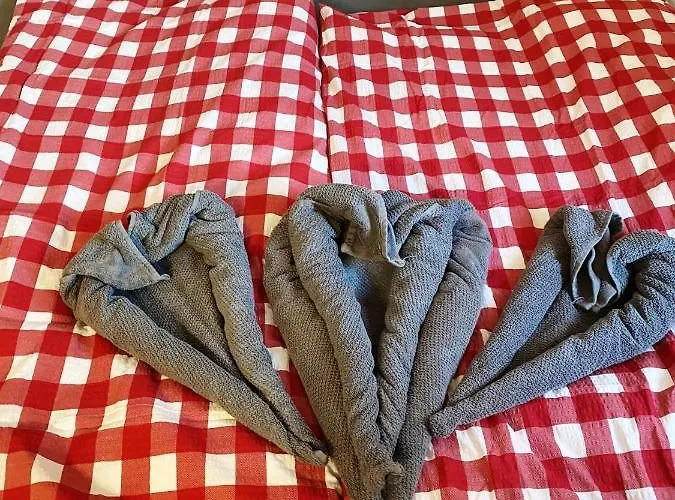 Waldhorn 公寓式酒店 *