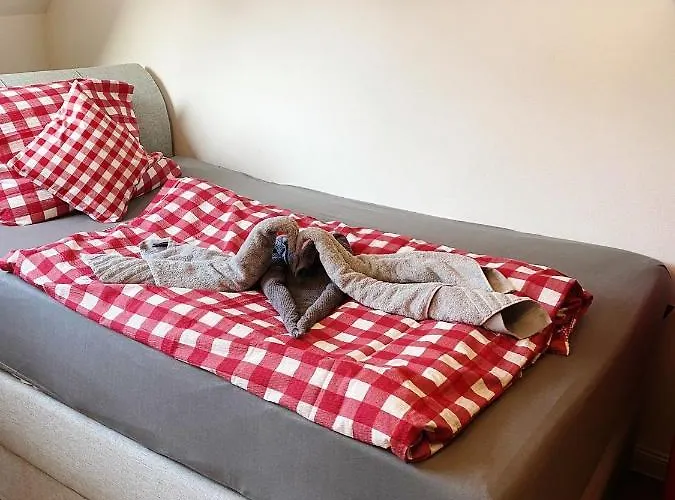 Waldhorn * 斯图加特